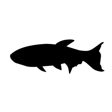 recommend clip art: Fish Silhouette