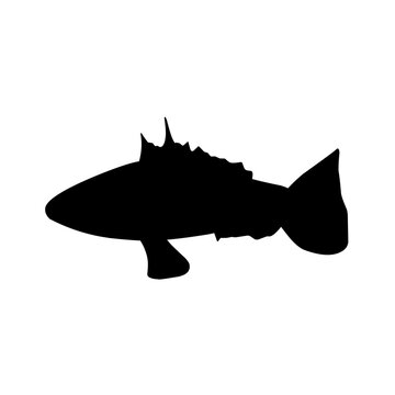 recommend clip art: Fish Silhouette