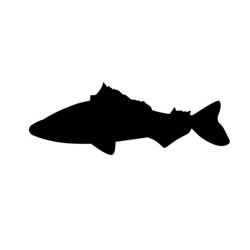 recommend clip art: Fish Silhouette