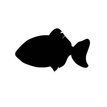 recommend clip art: Fish Silhouette