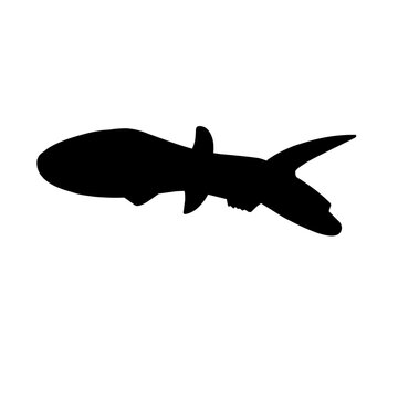 recommend clip art: Fish Silhouette