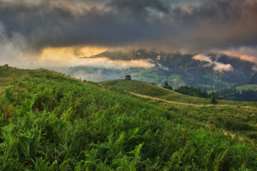 Fototapeta na wymiar Foggy morning in the mountains. Summer dawn in the Carpathians. Nature of Ukraine