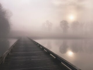 Foggy Morning 