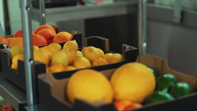 Various colourful vegetables and fruits being stored in cardboard boxes and lying on stainless-steel rack. High quality 4k footage
