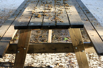 Dry leaves and fallen flowers in a city park in Tel Aviv.