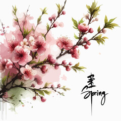 Cherry blossom branch with sakura flower. Sakura on white background. Watercolor cherry bud.