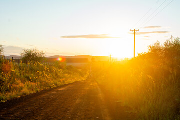 paisaje típico de Misiones Argentina, calle de tierra y campo, linda mañana.