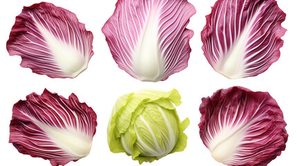 Radicchio Vegetable Salad: Vibrant, Healthy Ingredients for Gourmet Cuisine. Top View Isolated on Transparent Background for Culinary Designs.