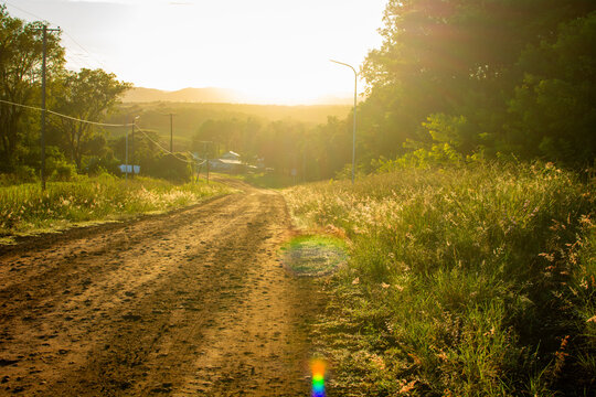 camino de tierra, tierra colorada con paisaje misionero, mucha naturaleza.