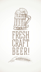 Beer mug drawn in graphical style, with thematic inscription and a painted ear of grain. Vector design element.