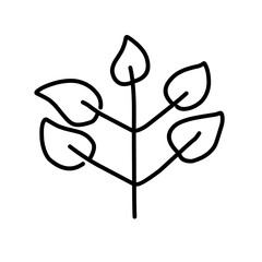 Hand Drawn Leaf Outline