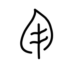 Obraz premium Hand Drawn Leaf Outline