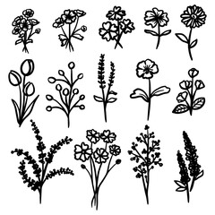 Flower Hand Drawn Scribble Element