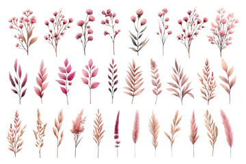 Pink dried flower watercolor illustration material set