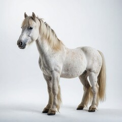 portrait of horse with brown spots
