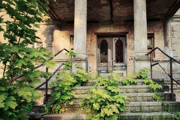 Abandoned House in the Woods - Verlassener Ort - Beatiful Decay - Verlassener Ort - Urbex / Urbexing - Lost Place - Artwork - Creepy - High quality photo