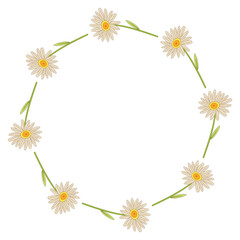A daisy wreath PNG transparent background in a clean hand-drawn spring floral concept, illustration