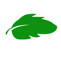 Green Leaf Icon