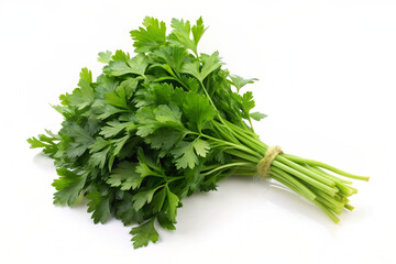 bunch of fresh green parsley in white