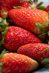 Organic strawberry harvest