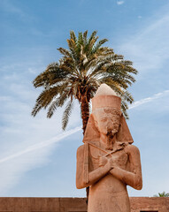 Statue of Ramses II with palm tree and blue sky at Karnak, Luxor Egypt