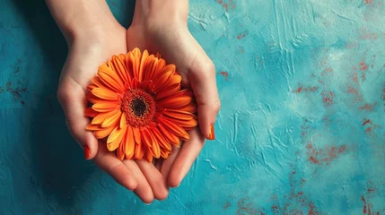 Foto op Canvas Gerbera flower with hand holding on blue background © thesweetsheep
