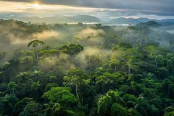 Fototapeta na wymiar Lush amazon rainforest landscape captured at dawn Highlighting the rich biodiversity and the beauty of natures untouched wilderness
