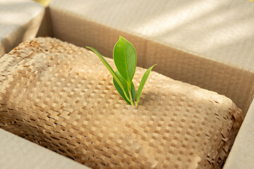 Green leaf on eco friendly brown paper honeycomb wrap for product packaging parcel carton box