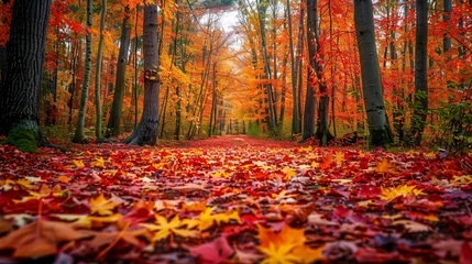 Sierkussen Vibrant Autumn Landscape with Bright Foliage © New Robot