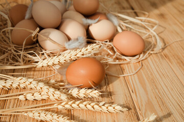Chicken eggs of different brown and beige shades on a wooden background with dry corn and wheat. Easter background. Front view