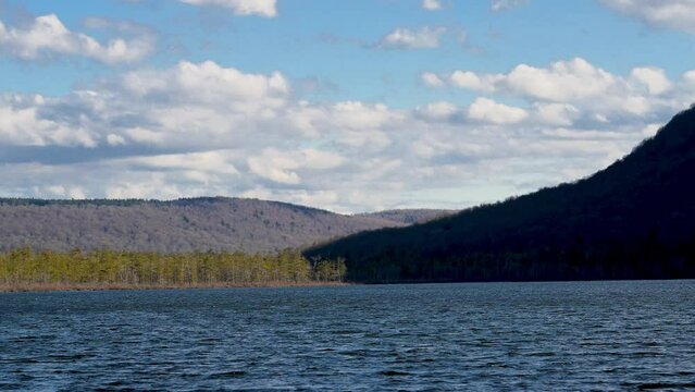 Looking out over Labrador Pond while walking the boardwalk that takes you around and through a swamp at Labrador Hollow Unique Area in Tully NY.