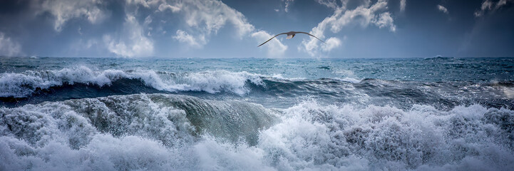 Seagull Soaring Over Turbulent Ocean Waves Under Cloudy Sky