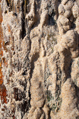 Wet sand texture on wood