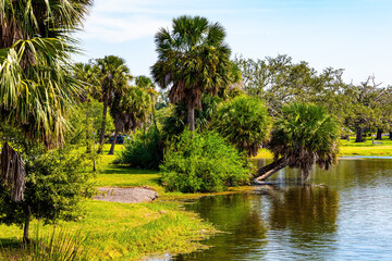 Wonderful quiet lake