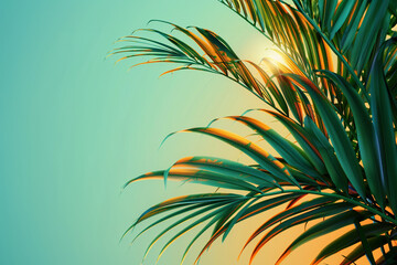 Fototapeta na wymiar Tropical palm tree with sun light. Summer vacation wallpaper. Fluorescent colours
