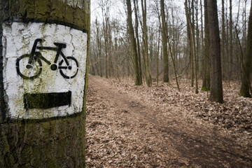 Znak droga rowerowa w lesie. - obrazy, fototapety, plakaty