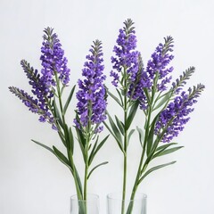 bunch of lavender flower