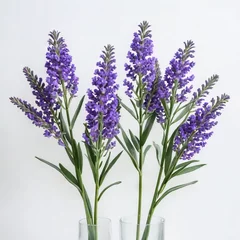 Deurstickers bunch of lavender flower © Садыг Сеид-заде