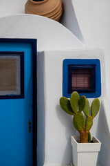 Vibrant blue door and cactus in Greek Island home.