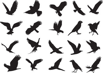Set of silhouettes of flying birds in a flat style on a white background. Vector illustration