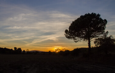 Coucher de soleil Provence Pin