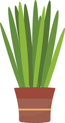 Succulent flower pot icon cartoon vector. Care indoor plant. Home interior leaf