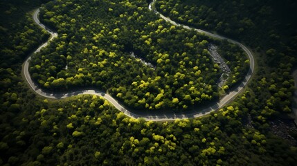 Curvy road with no traffic in dense green forest, top down aerial view from a drone