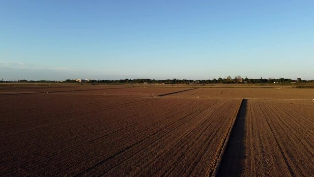 ALBUFERA VALENCIA