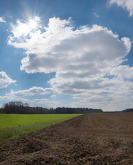 plowed and prepared field for cultivation at springtime, bright sunshine