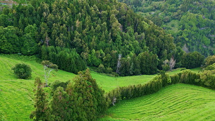 Fototapeta na wymiar Lush forest landscape aerial view. Picturesque green valley at countryside hills