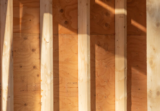 Detail from the inside of an interior wood stud wall showing the studs and plywood sheathing