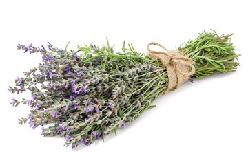 a bunch of lavender flowers tied together