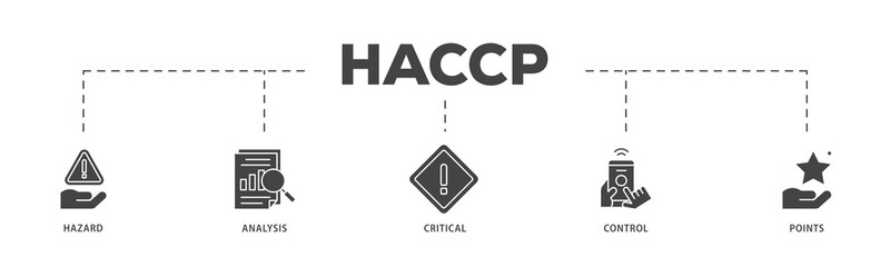 HACCP icons process structure web banner illustration of hazard analysis and critical control points acronym in food safety management system icon live stroke and easy to edit 