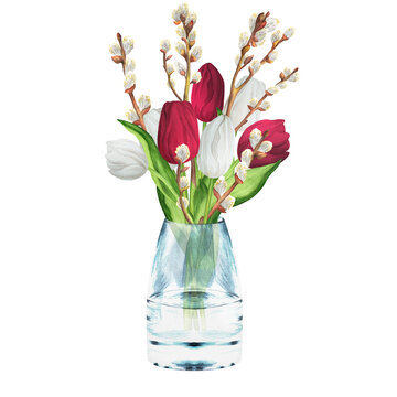 Hand-drawn watercolor illustration. Flower bouquet with white and red tulips, pussy-willow branches and green leaves. Spring Easter bouquet in a glass vase